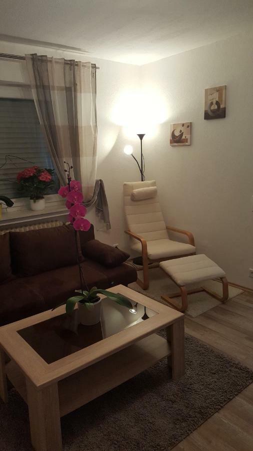 Ochmanns Ferienwohnung Meschede Luaran gambar